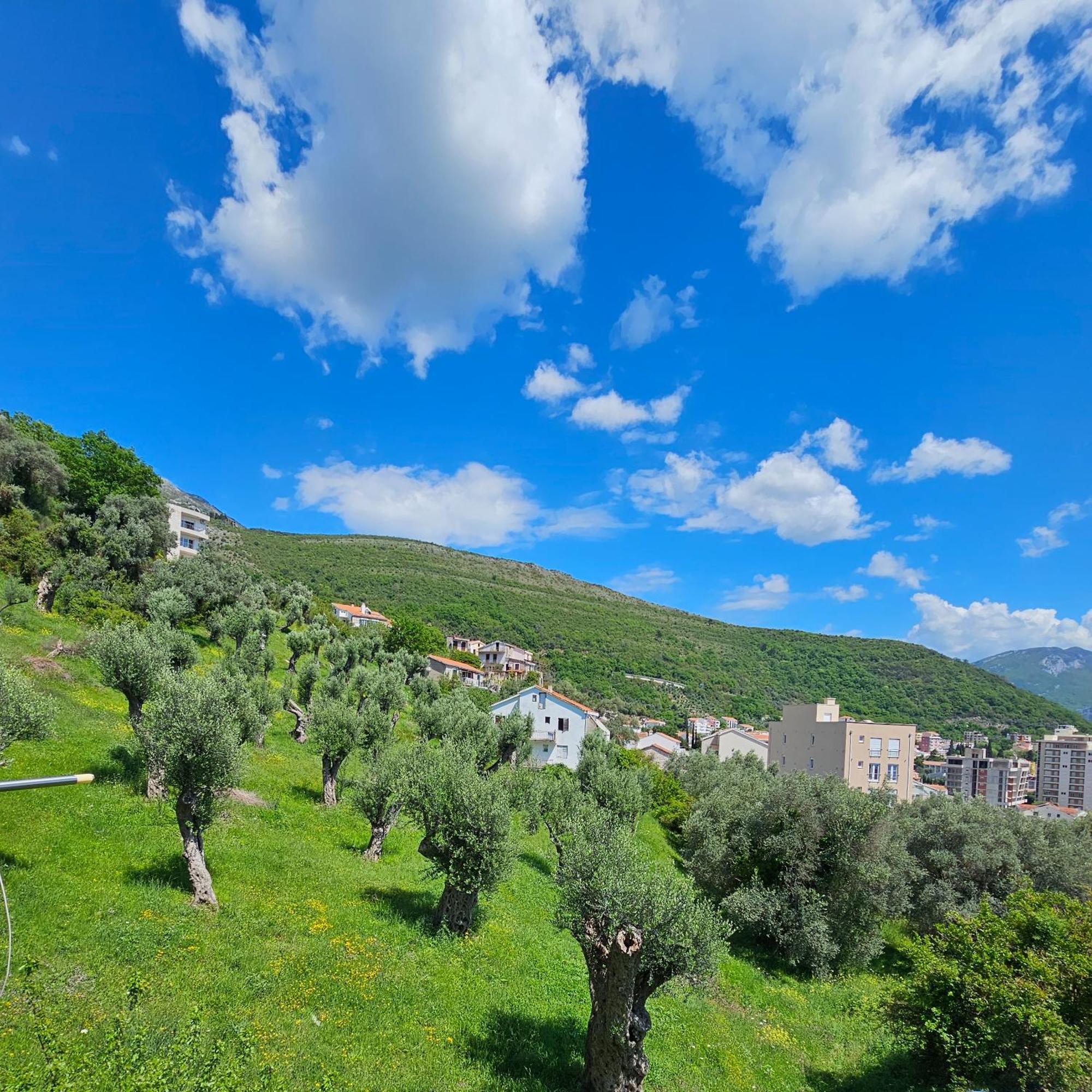 Medin Apartments Bluvista Petrovac Eksteriør billede