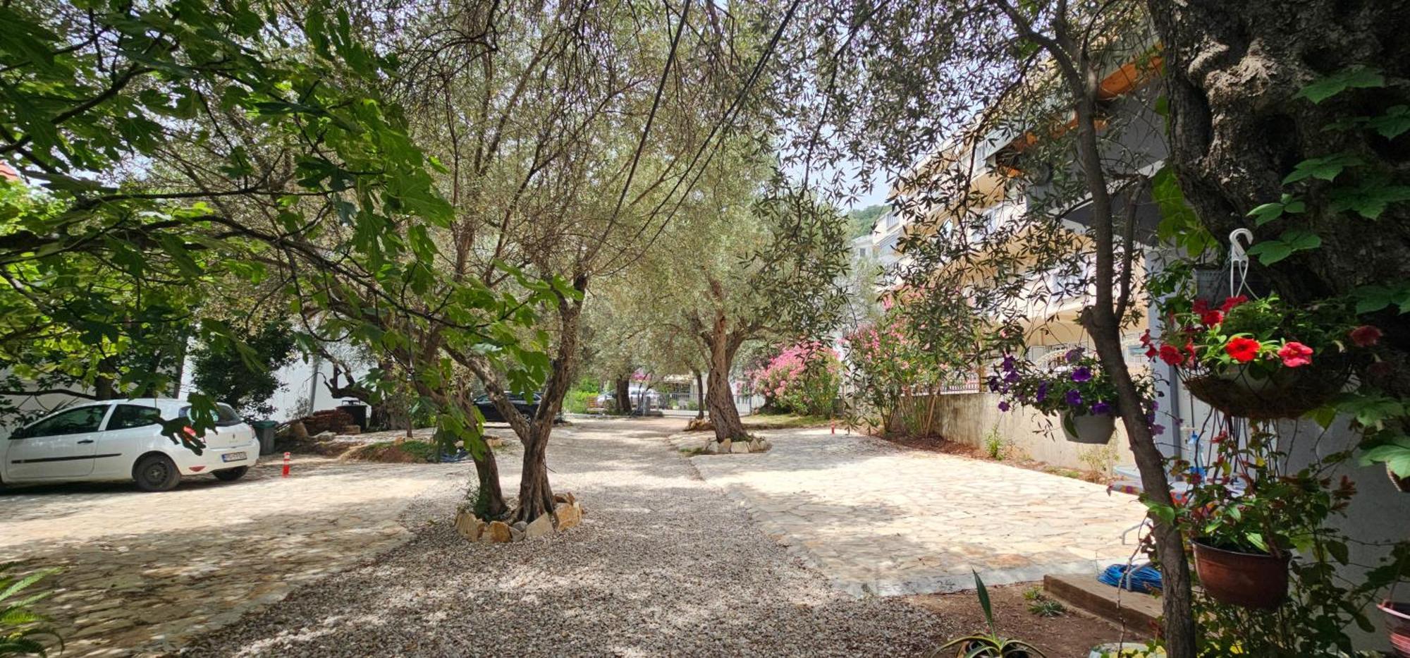 Medin Apartments Bluvista Petrovac Eksteriør billede