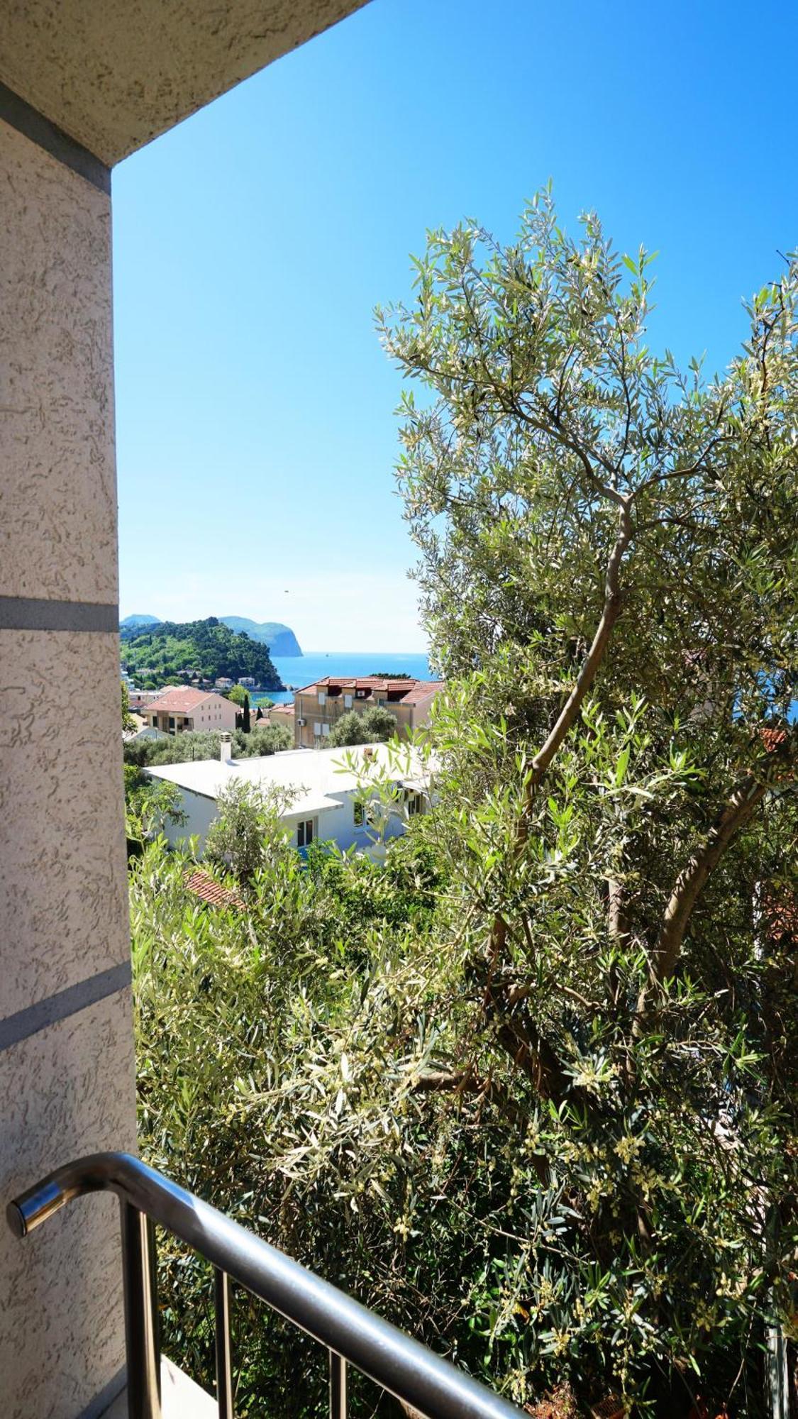 Medin Apartments Bluvista Petrovac Eksteriør billede